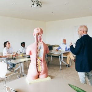 Kinesiology Foundation Course